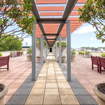Nesuto Chippendale Lejlighedshotel Sydney Eksteriør billede